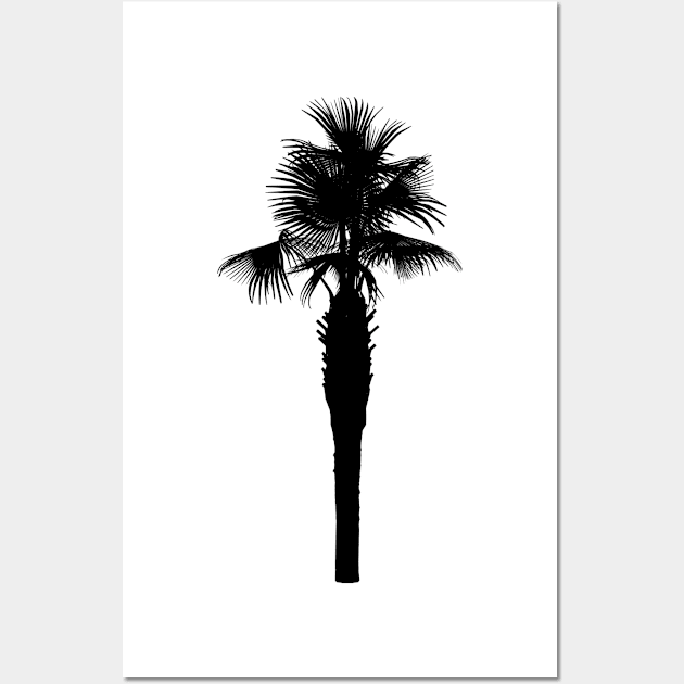 Palm Wall Art by ShirtyLife